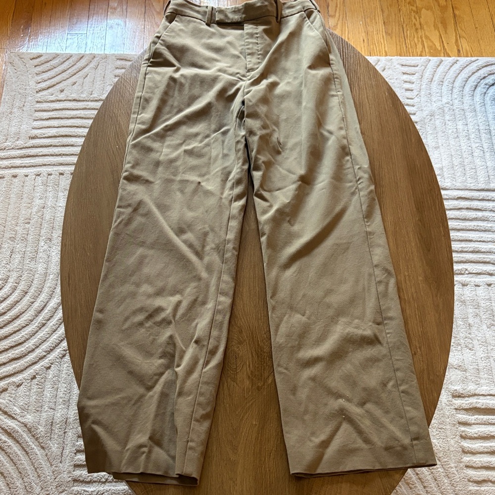 Aritzia Babaton Pants